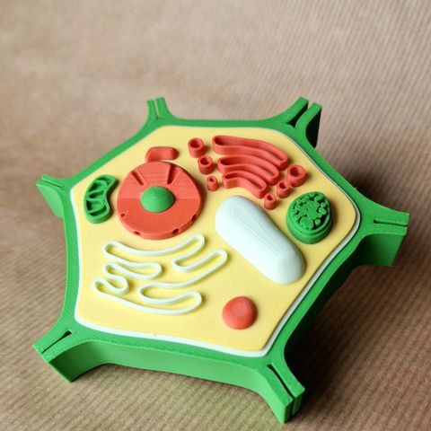 3D Printed Plant Cell