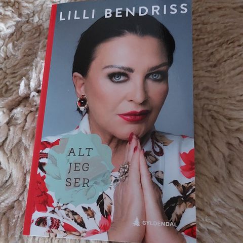 Boken til Lilli Bendriss - Alt jeg ser - Kjent fra Åndenes makt