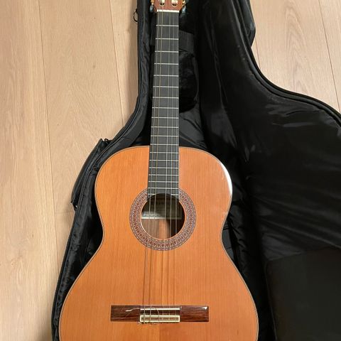 Gitar Alhambra p 6