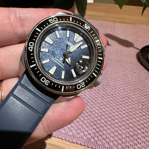 Seiko King Samurai, Dark Manta Ray