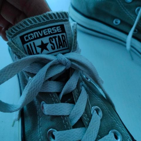 Converse sko