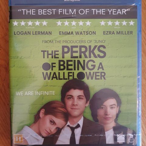 The PERKS OF BEING A WALLFLOWER I PLAST