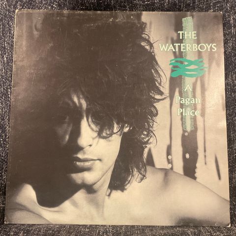 The Waterboys - A Pagan Place