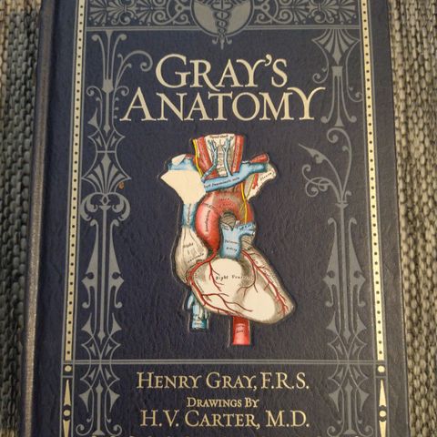 Gray's Anatomy