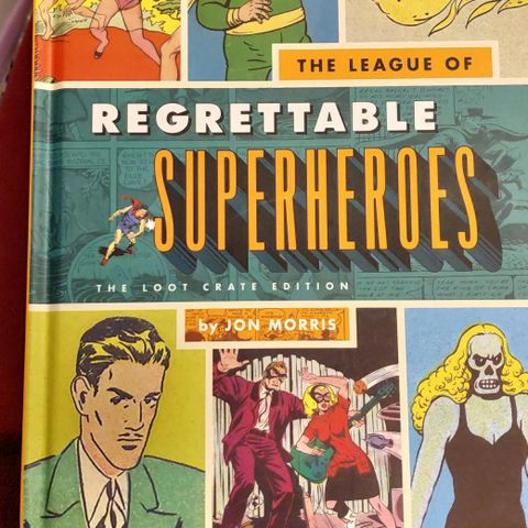 Regrettable Superheroes bok