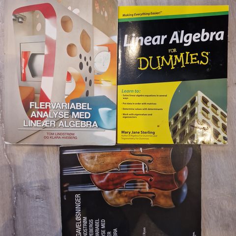 Flervariabel analyse med lineær algebra