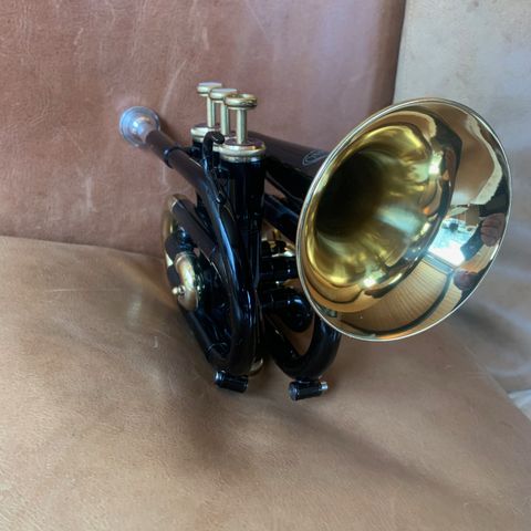 Pocket Trompet , Jupiter JPT-416. /JPT 41 pocket trumpet black lacquer.