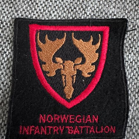 Norwegian infantry battalion KFOR