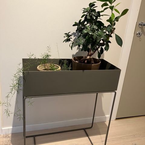 Plant box varmgrå (warm grey) fra Ferm Living
