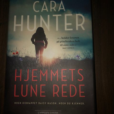 HJEMMETS LUNE REDE - CARA HUNTER