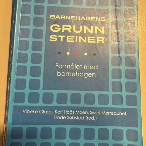 Barnehagens grunnsteiner. Formålet med barnehagen.