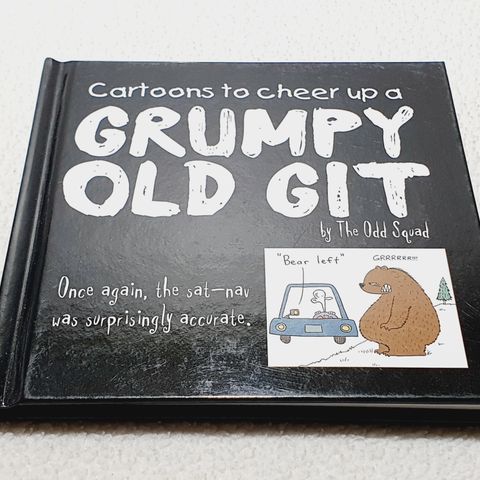 Cartoons to Cheer up a Grumpy Old Grit - The Odd Squad