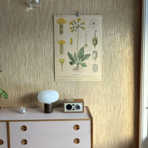 Vintage skoleplakat med blomster