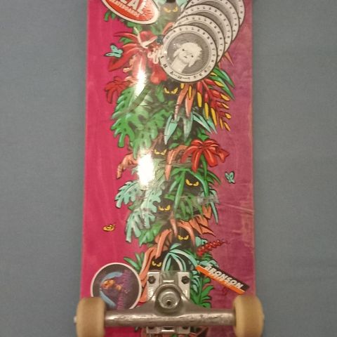 Complete Skateboard / Deler