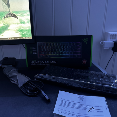 Razer Huntsman Mini (2021)