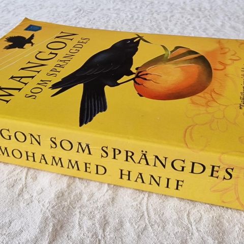 Mangon Som Sprängdes (2011) Mohammed Hanif