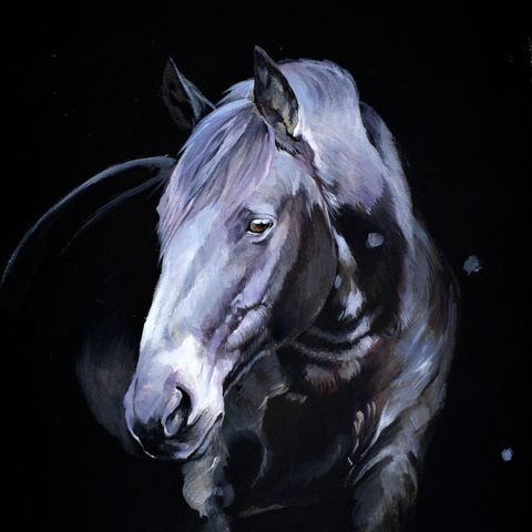 Equine serie , originalt akrylmaleri 40x50cm