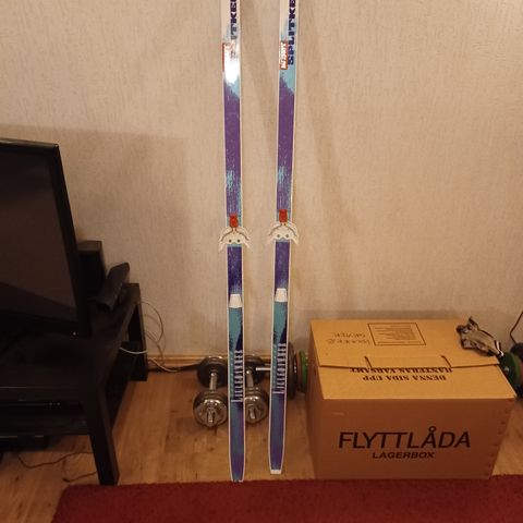 Langrennsski Splitkein  176 cm  lange