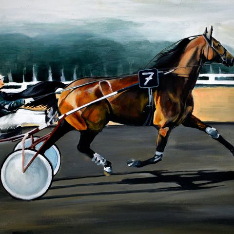 Equine serie , originalt akrylmaleri 40x50cm