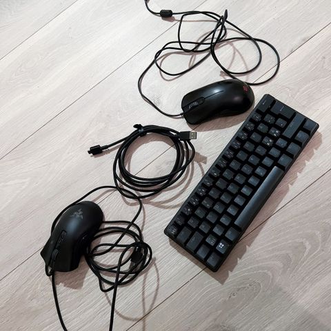 Tastatur og mus