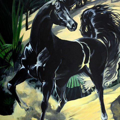 Equine serie , originalt akrylmaleri 60x80cm