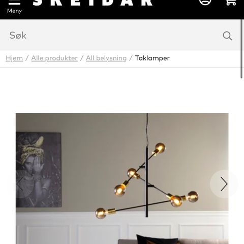 taklampe