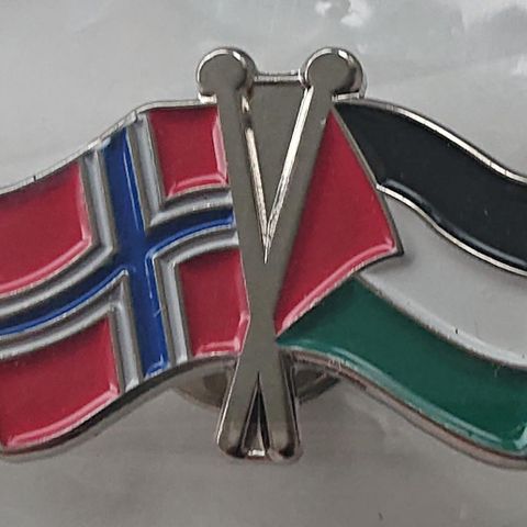Vennskapsflagg pins Palestina - Norge selges