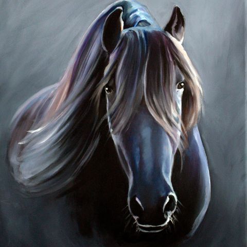 Equine serie, moderne unikt oljemaleri 50x40cm