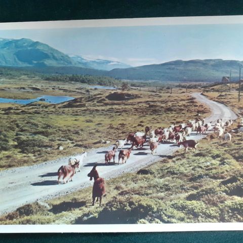 Valdresflyvegen. Valdres - Gudbrandsdalen