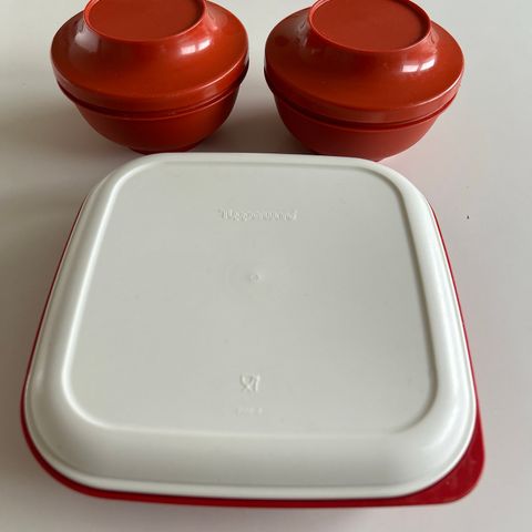 Retro tupperware