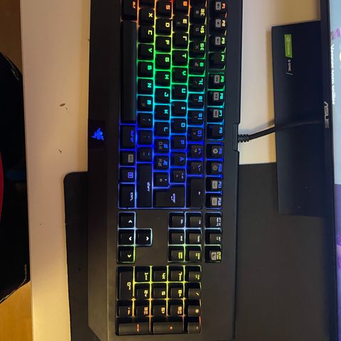 Razor gaming tastatur og mus