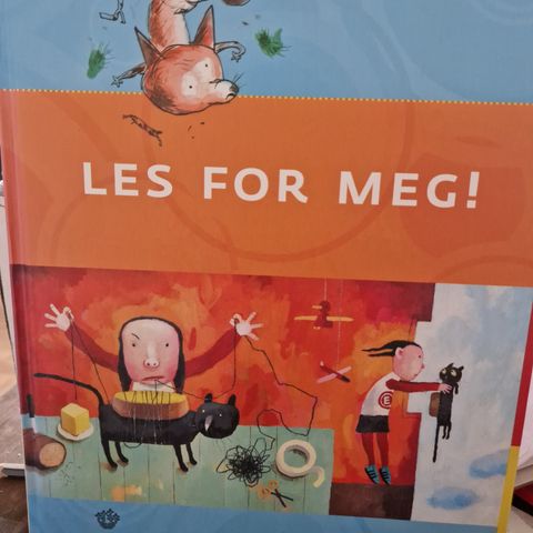 Kr 40 LES FOR MEG 2008