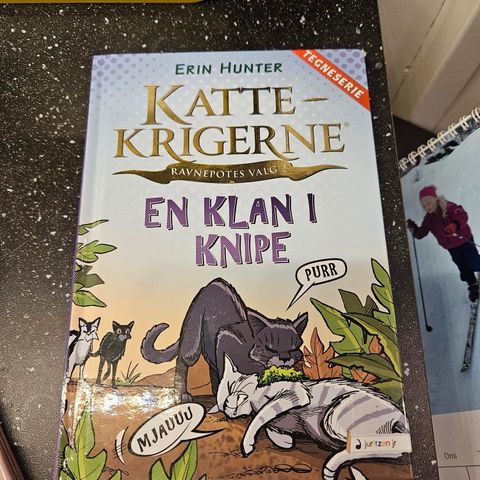 Kattekrigerne - En klan i knipe