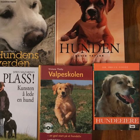 Hunden,  Hundens verden, På plass,kunsten å lede en hund, Valpeskolen