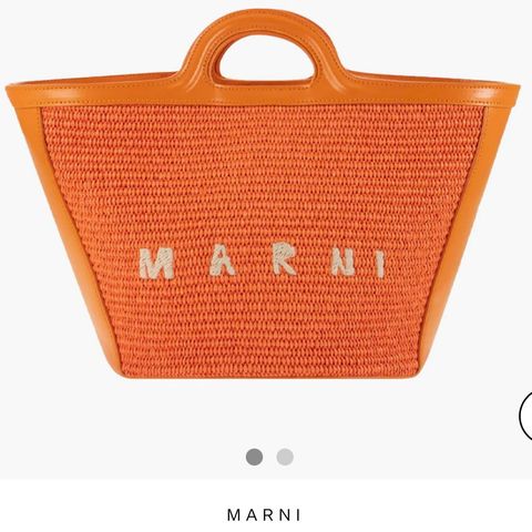 Marni Tropicalia Small Bag In Leather And Raffia