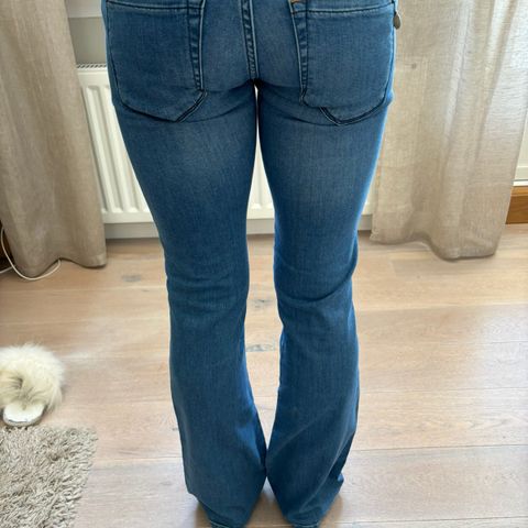 Pieszak jeans