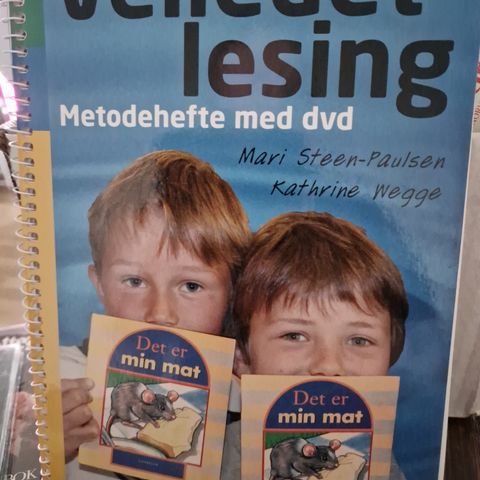 Kr 65 Veiledet lesing med dvd Steen Paulsen 2008