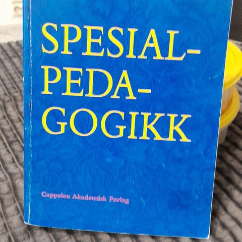 spesialpedagogikk