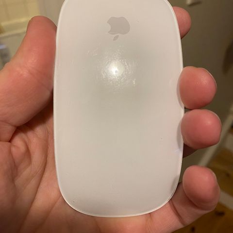 Apple Magic Mouse 2. Gen.