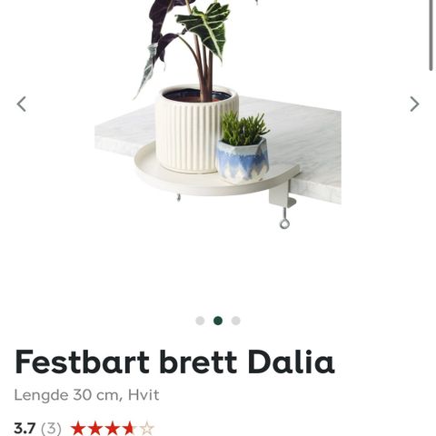 Festbart brett Dalia