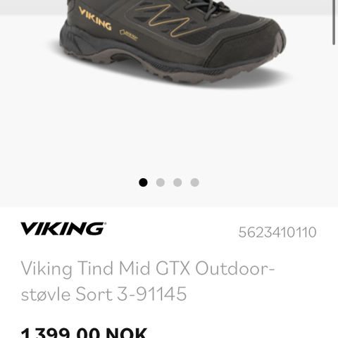 Nye Viking Goretex 37