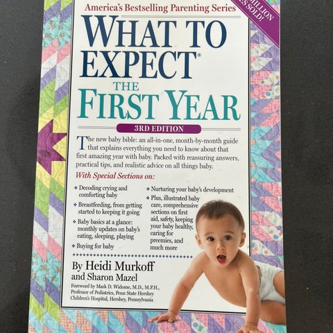 Best seller bok: what to expect the first year 3rd edition