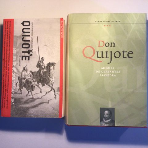 Bok - Den skarpsindige lavadelsmann: Don Quijote av la Mancha (Heftet/Innbundet)