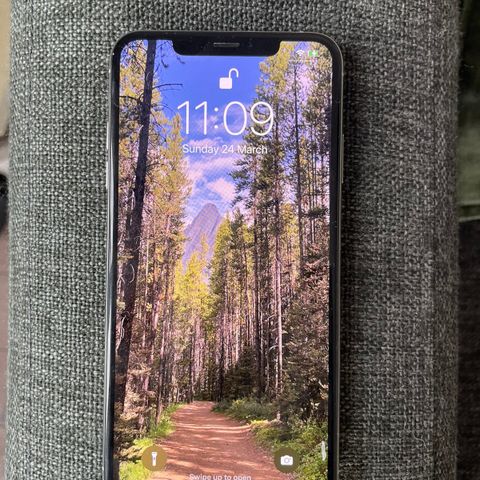 iPhone XS Max - 256GB; 98% battery