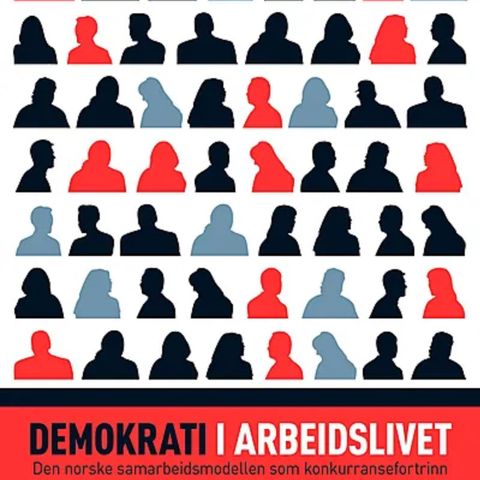 Demokrati i Arbeidslivet(ny pris 539,-)