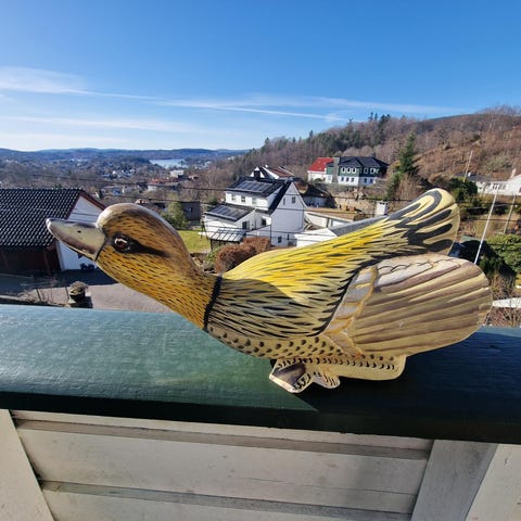 Annonsebilde