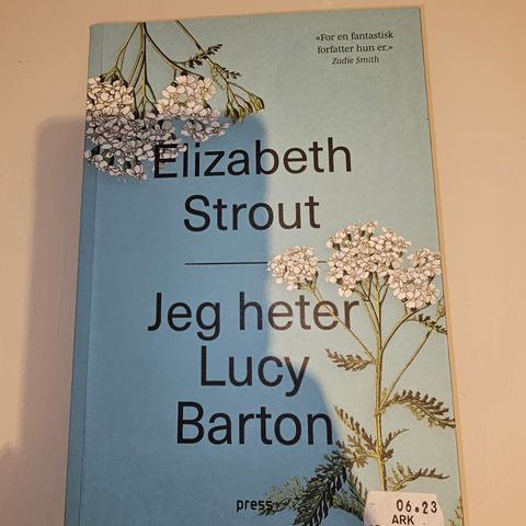 Jeg heter Lucy Barton. Elizabeth Strout