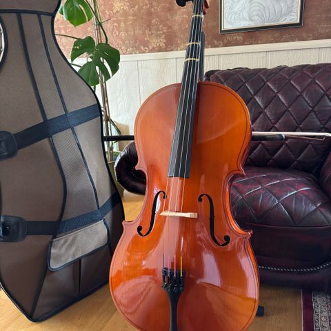 Knilling 3/4 Cello