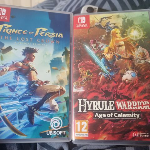 Prince of Percia & Hyrule warriors  age of calmaity Nintendo switch