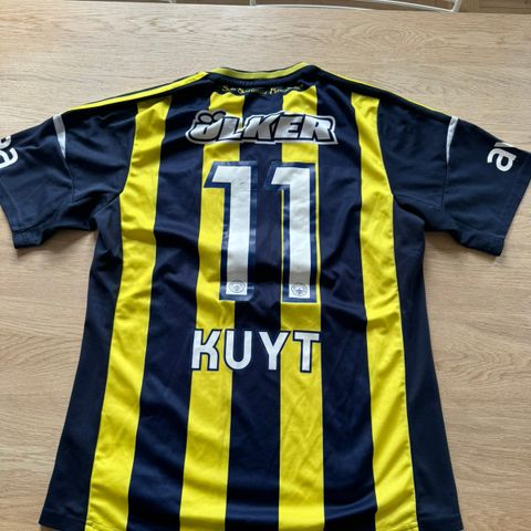 Fenerbahce drakt (Dirk Kuyt)